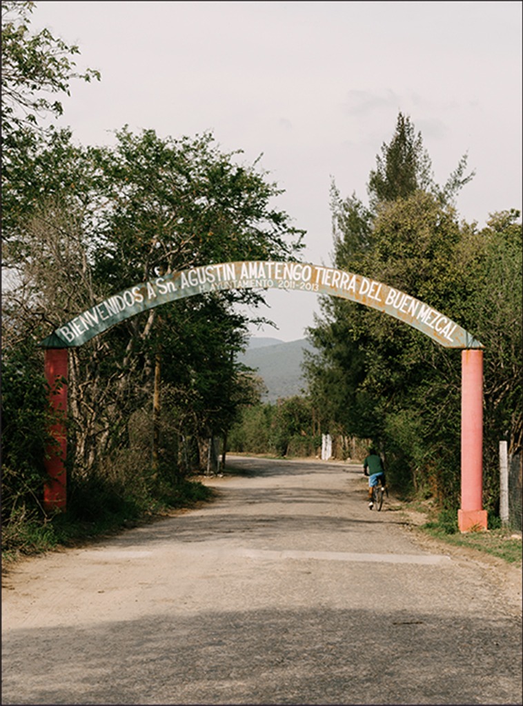 la-colectiva-espiritu-corsa